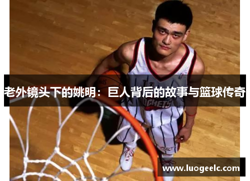 老外镜头下的姚明：巨人背后的故事与篮球传奇
