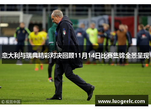 意大利与瑞典精彩对决回顾11月14日比赛集锦全景呈现